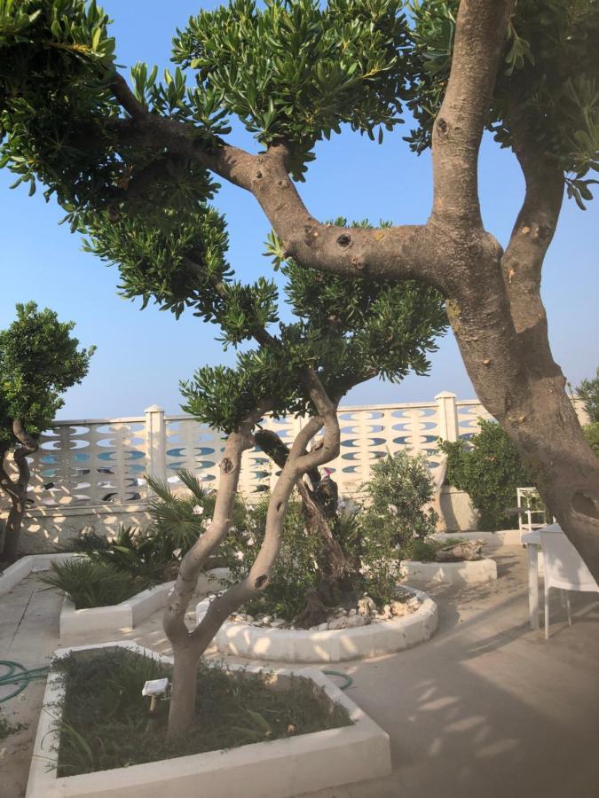 Bed & Breakfast S.anna Bari