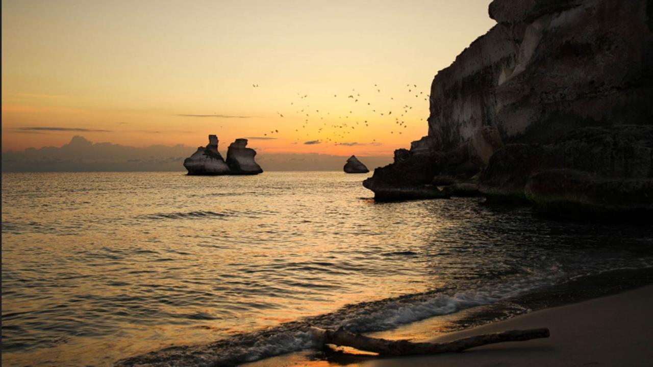 Bed & Breakfast Putignani 181