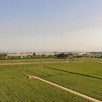 Airport Bari-Palese Luxury 1