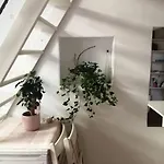 Appartamentino Incantevole A Bari
