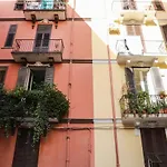 The Colors House