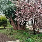 Giardino A Mare