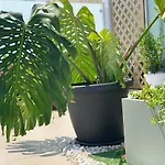 Dalu Suite Terrace