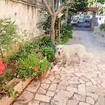 Villa Magnolia Con Giardino