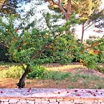 Villa Costanza
