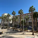 Palm Central House