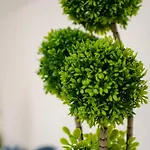 Apulialux - San Pio Apartment A Bari Centro