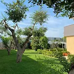 B&B Mirage