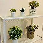 Casa Gemini