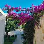 Spirito Santo