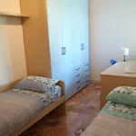 La Casa Di Telen Vicino Policlinico E Giovanni Paolo II