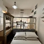 Rogadeo 28