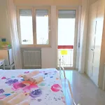 Tanzi Home