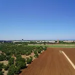 Wojtyla Airport Bari