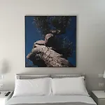 Bacco B&B