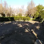 Pietra Di Mare