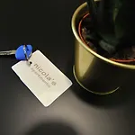 Nicola\'S Apartments