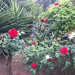 Il Giardino Della Foglia