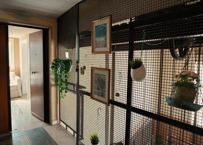 Casa Di Joe