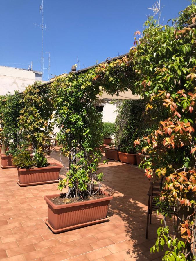 Visa 3* Bari