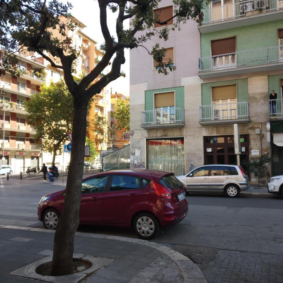 Centro Citta Concept *