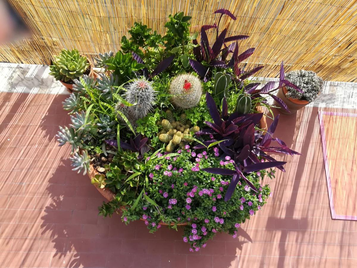 La Terrazza Near The Bed & Breakfast *