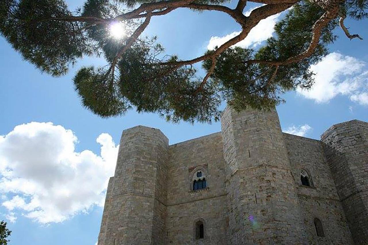 Bed & Breakfast The Architect Bari