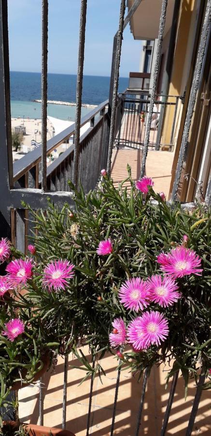 Sweet Carola Apartment Bari