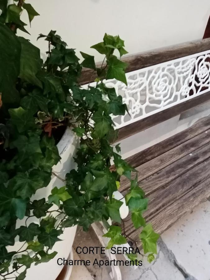 Appartement Corte Serra