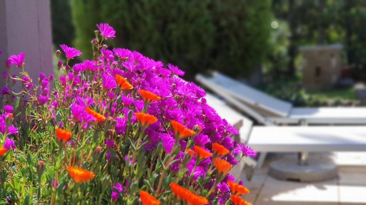 Guest house Apulia Time Bari