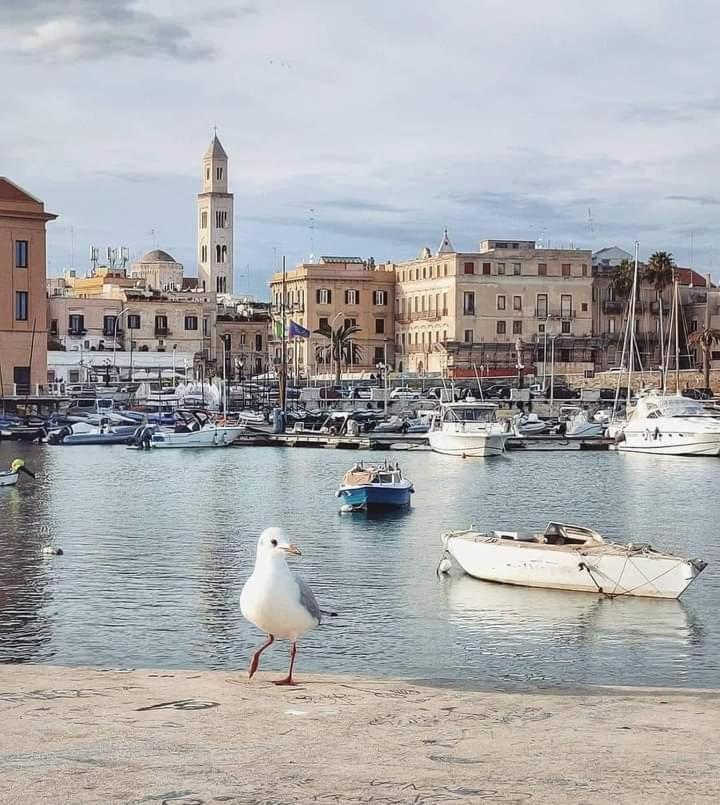 Bed & Breakfast Dimora Dei Veneziani Bari