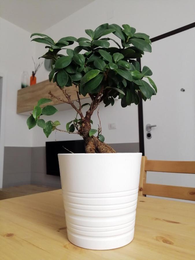 La Casa Blu Appartamento *