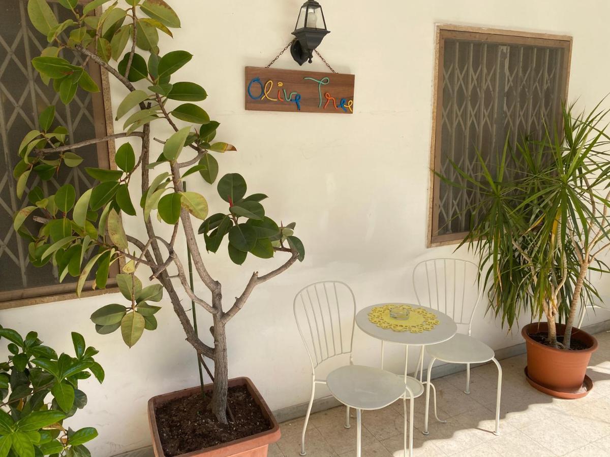 Hostel Olive Tree