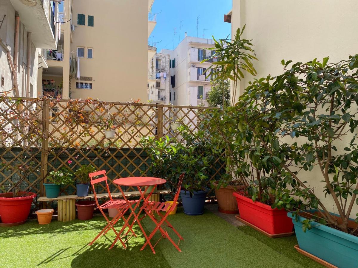 Hostel Olive Tree