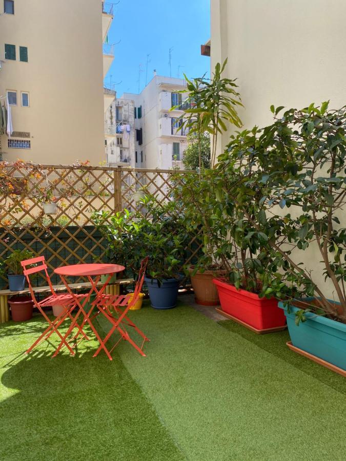 Hostel Olive Tree