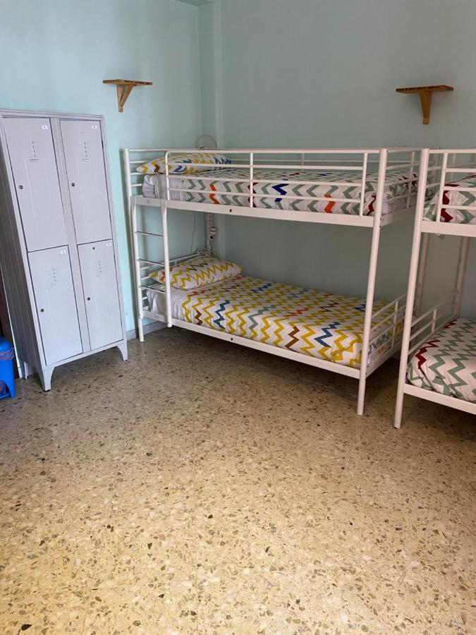 Olive Tree Hostel *