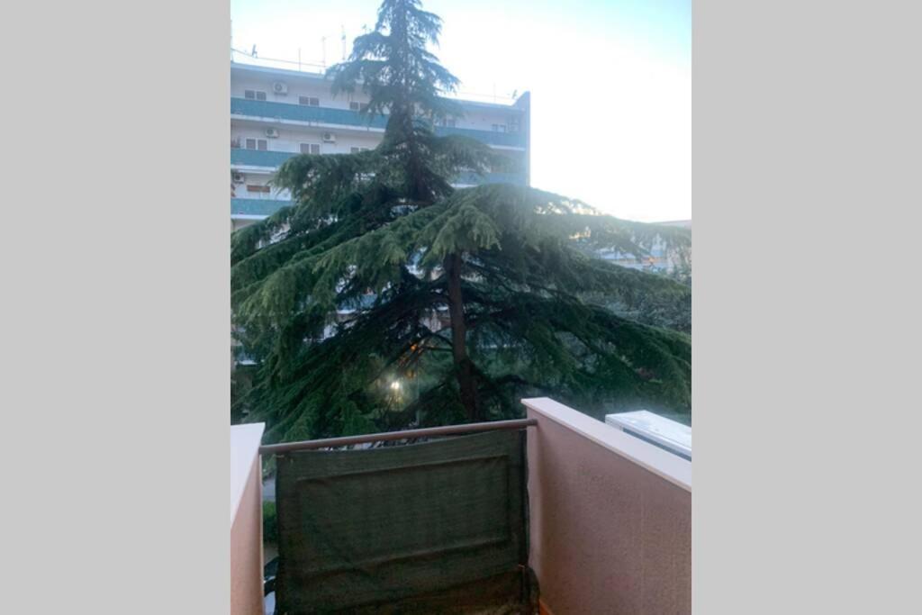 Căn hộ Residenza Giovanni Paolo Secondo- Casa Sull'albero Bari