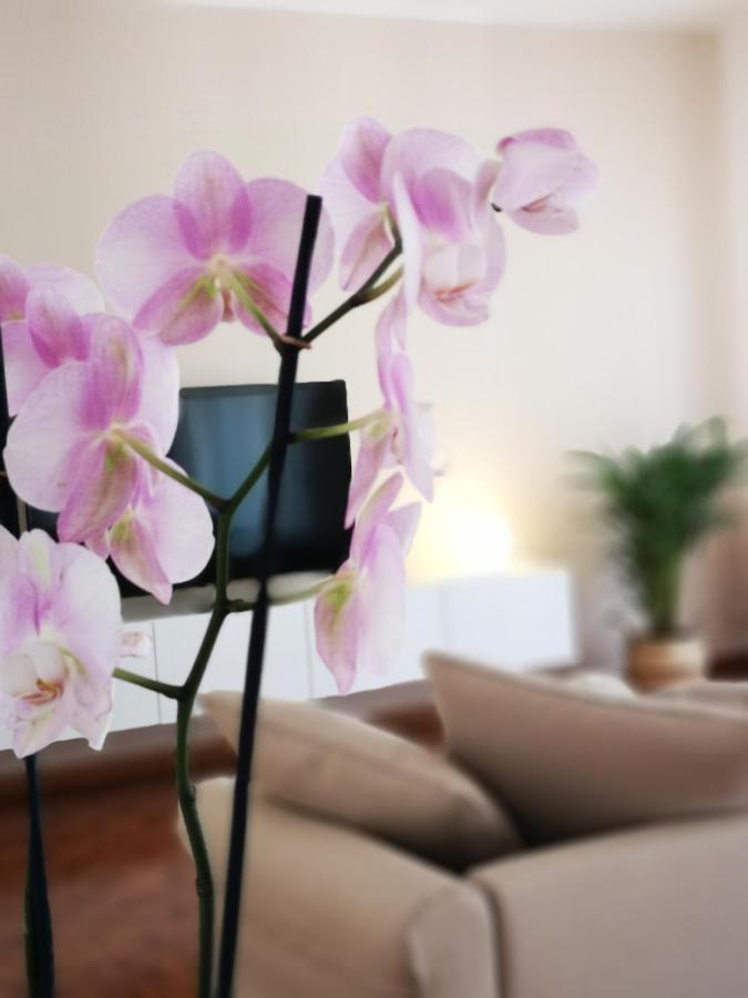 Apartment So Fine - Apulian Flats *