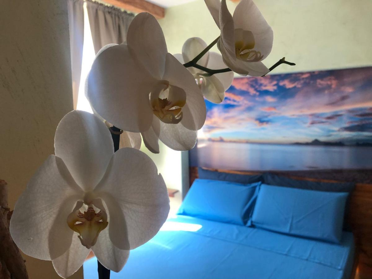 Dream & Relax Fiore *