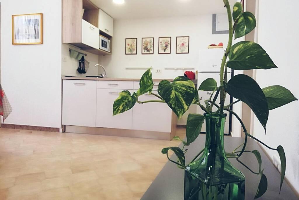 Casa vacanze Palazzo Manfredi 37 *