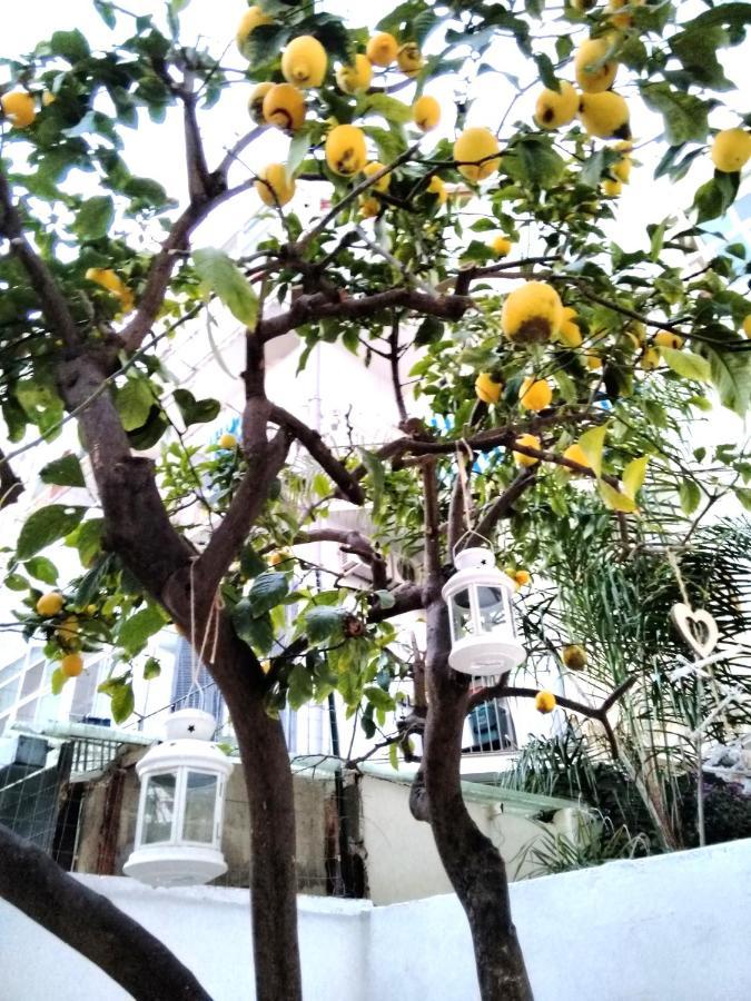 Apartment Willkommen In Einem Private Garden *