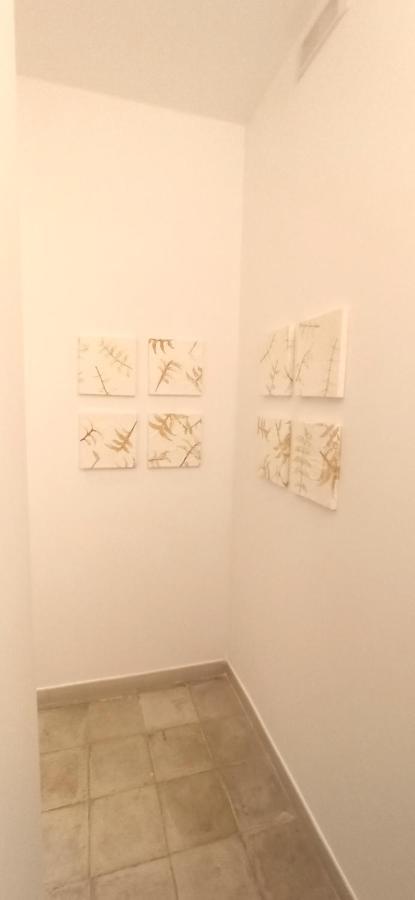 Apartamento Casa Nella Pietra Viva