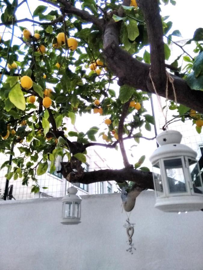 Apartment Willkommen In Einem Private Garden *
