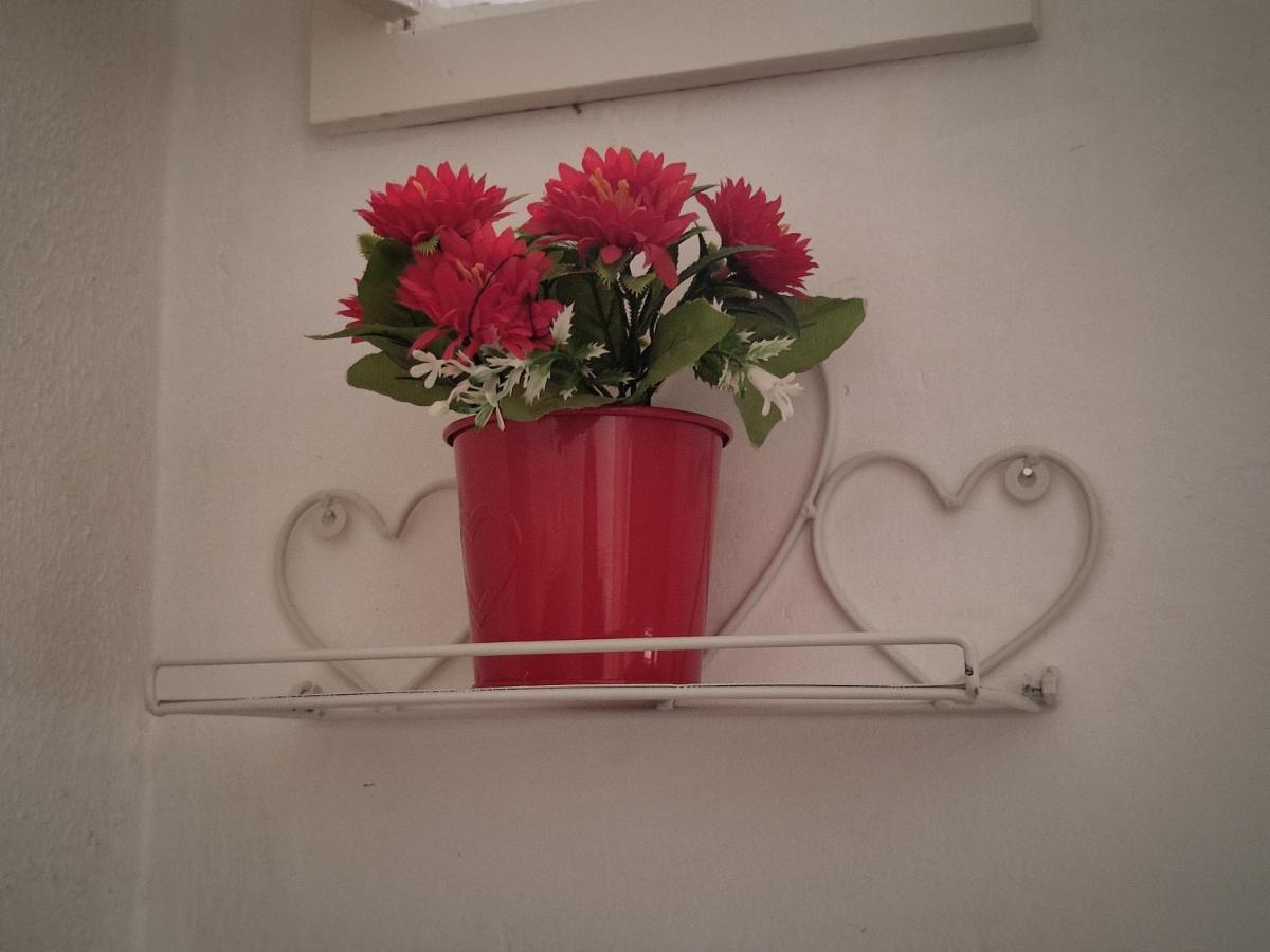 Flower 11