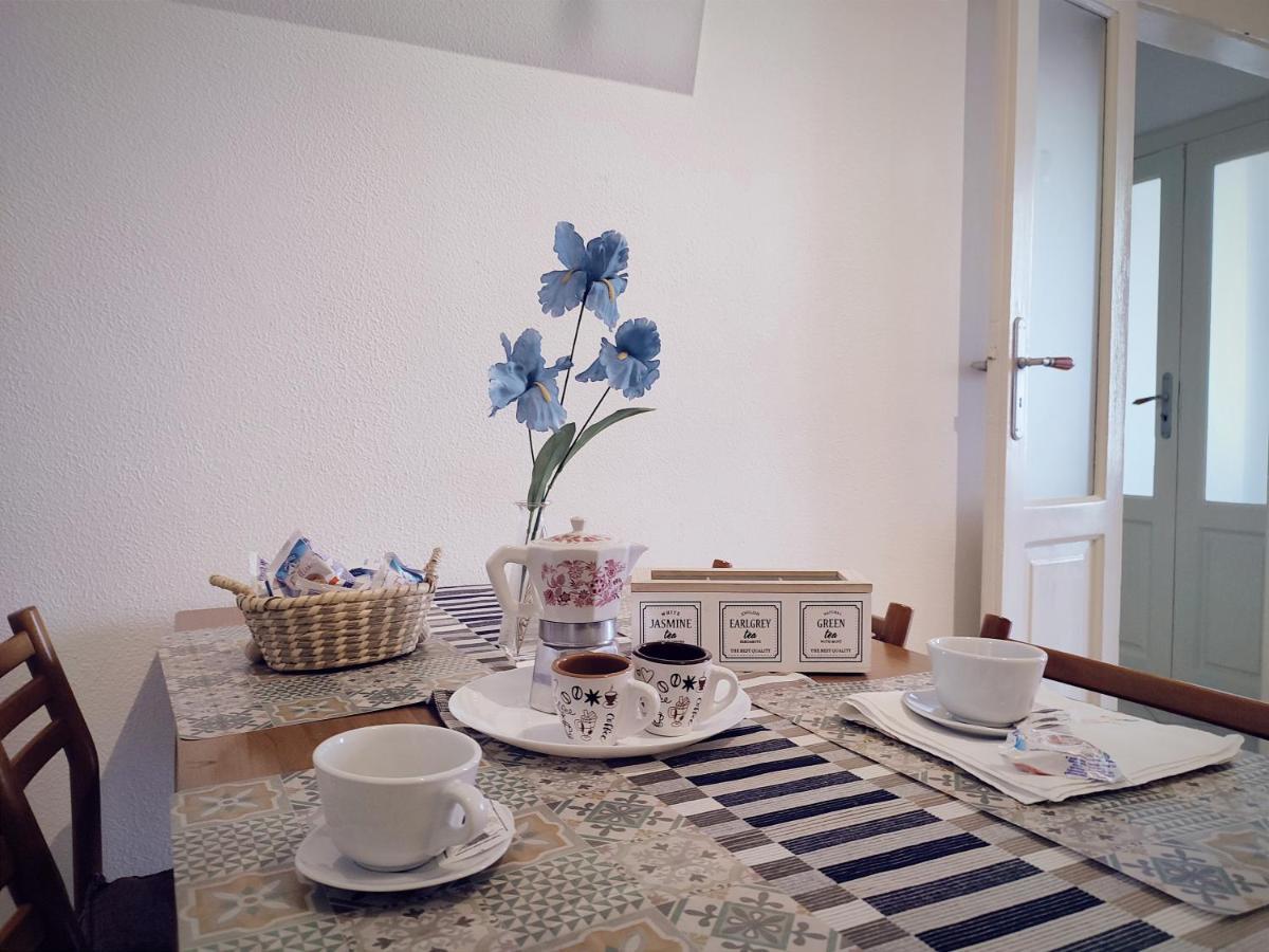 Apartment Flower 11 *