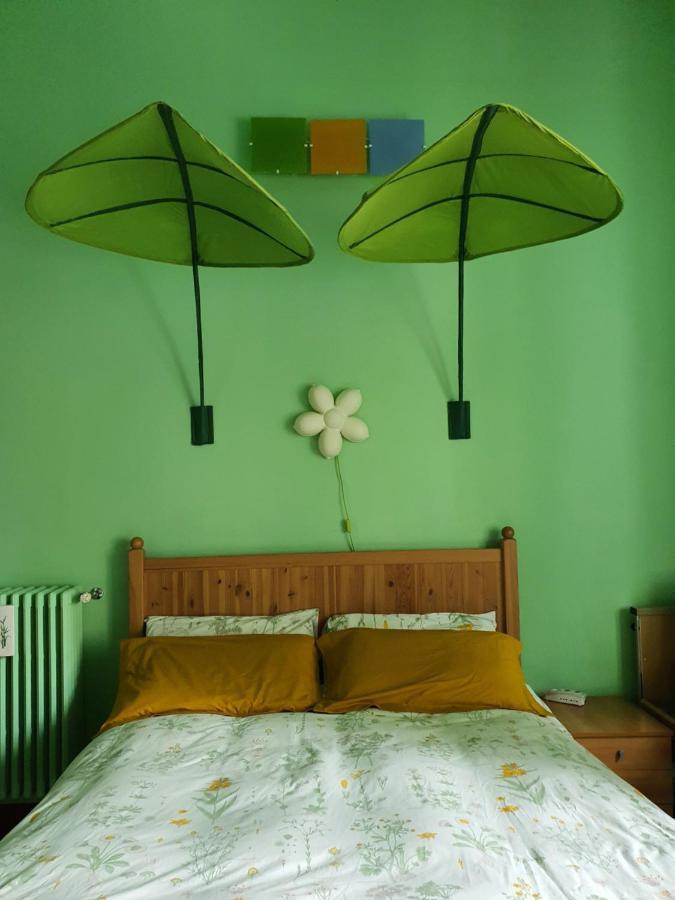 Apartment House Of Colors