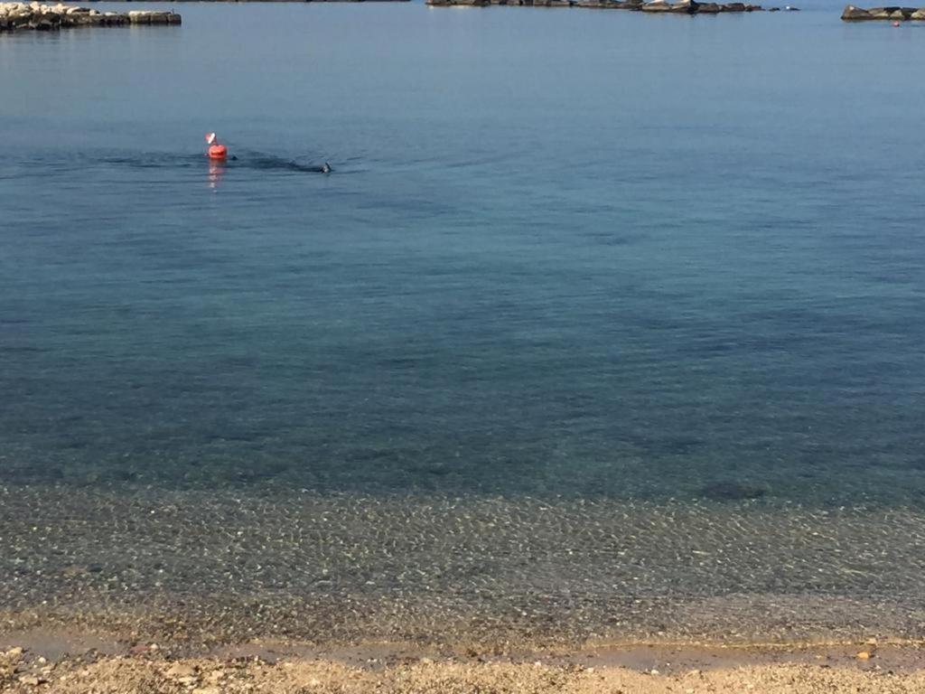 La Mia Terrazza Sul Mare - Mared'amare Appartement
