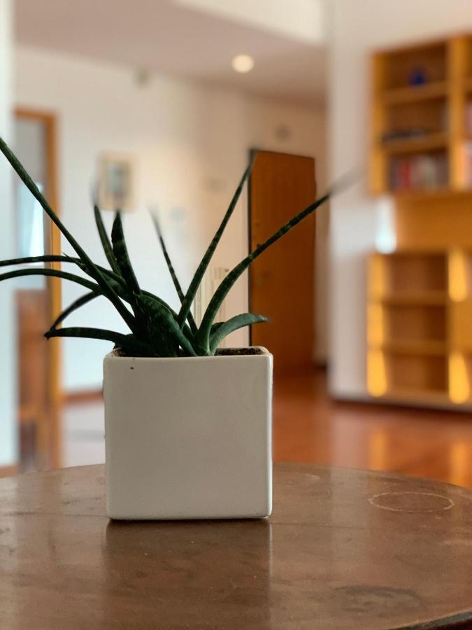 Apartment Luxury Tridente *