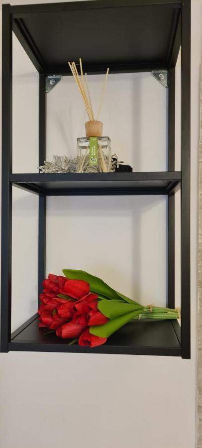 Apartment Di Paola Via Crisanzio Bari