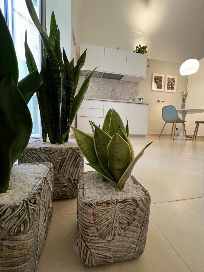 Appartement Com A Cas - Feel At In The Old Town